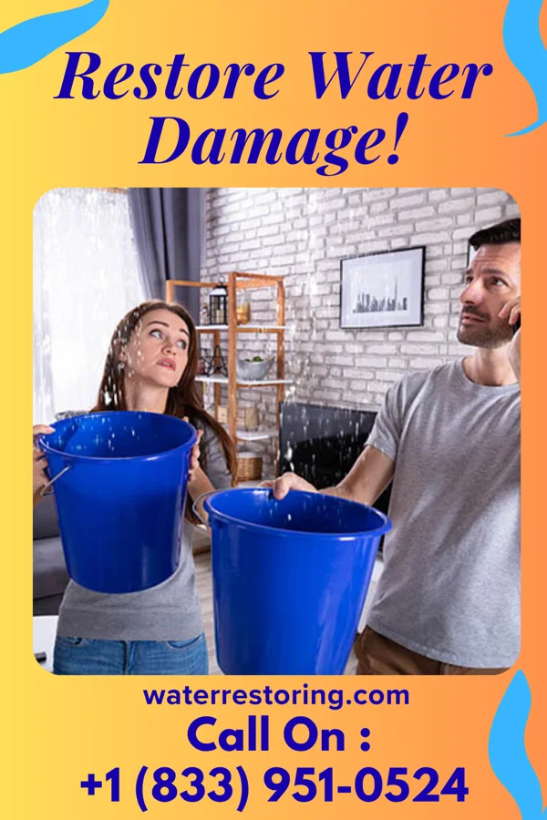 water restoration Quality Flood Company Groveton