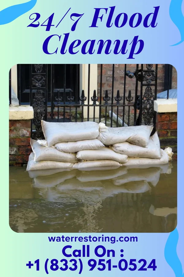 24/7 Flood Cleanup in Groveton, VA