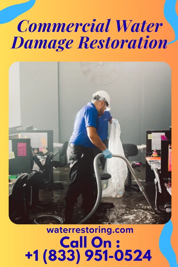 Commercial Water Damage Restoration in Groveton, VA