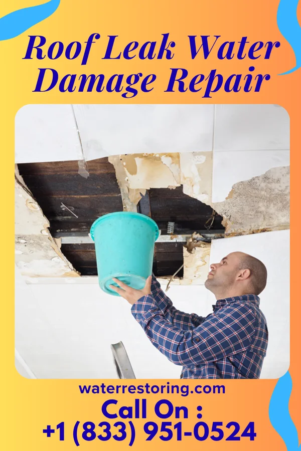 Roof Leak Water Damage Repair in Groveton, VA
