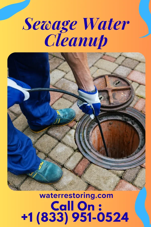 Sewage Water Cleanup in Groveton, VA