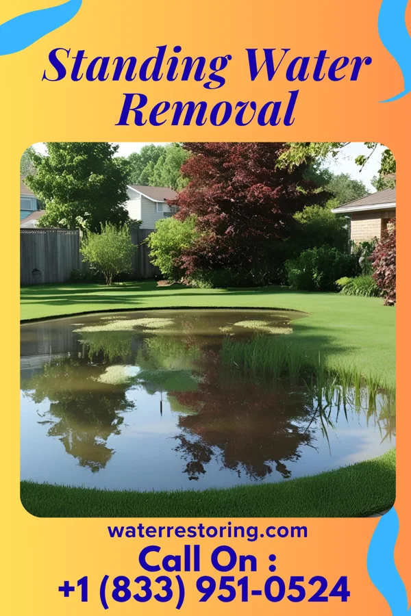 Standing Water Removal in Groveton, VA